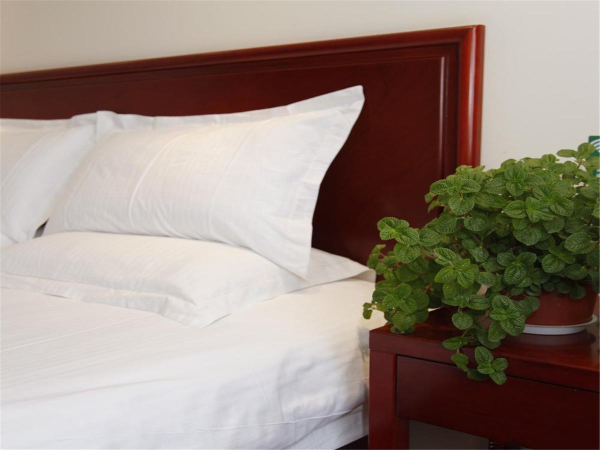 Greentree Inn Tianjin Meijiang Convention And Exhibition Center Express Hotel Eksteriør bilde
